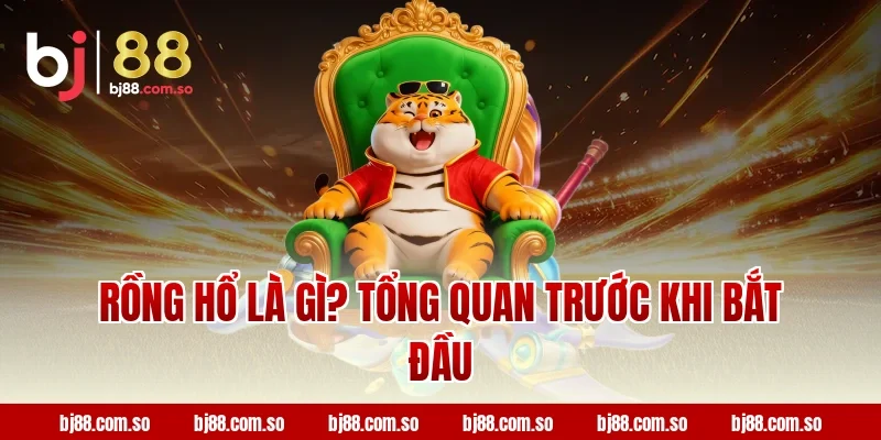 Rồng Hổ Là Gì? Tổng Quan Trước Khi Bắt Đầu