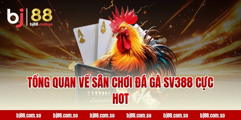 Tổng quan về sân chơi đá gà SV388 cực hot