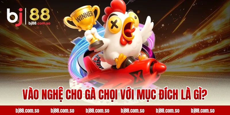 Vào nghệ cho gà chọi với mục đích là gì?